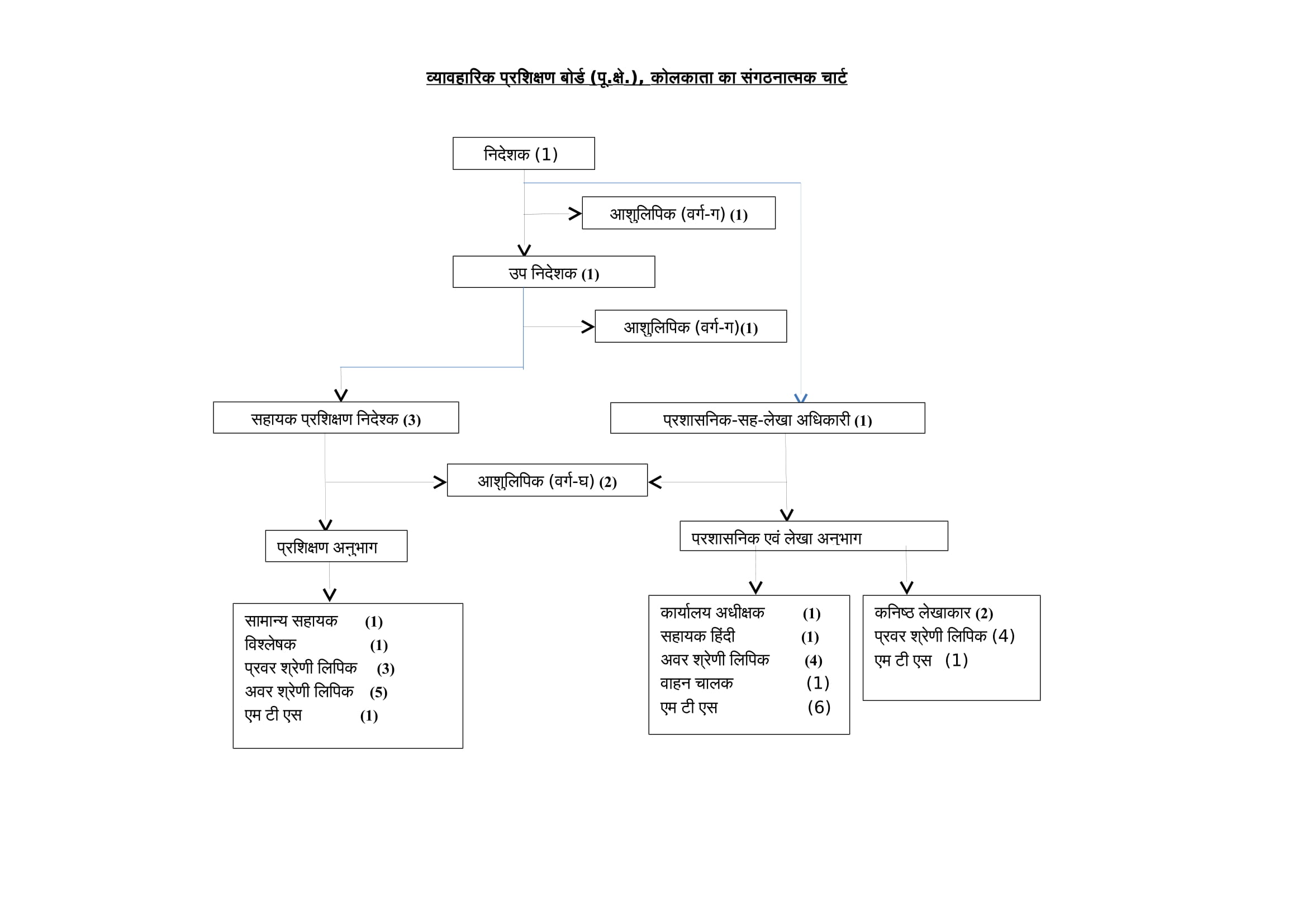 Organization Structure